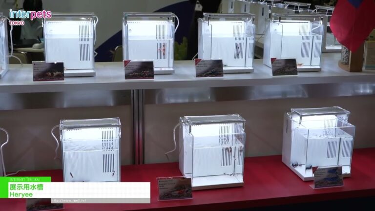 Display Aquarium – Heryee [Interpets Tokyo 2026]